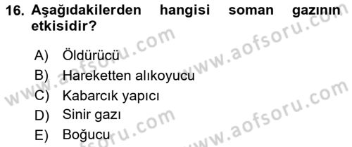 Arama Kurtarma Bilgisi ve Etik Değerler Dersi 2025 - 2026 Yılı (Final) Dönem Sonu Sınav Soruları 16. Soru