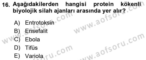 Arama Kurtarma Bilgisi ve Etik Değerler Dersi 2025 - 2026 Yılı Yaz Okulu Sınav Soruları 16. Soru