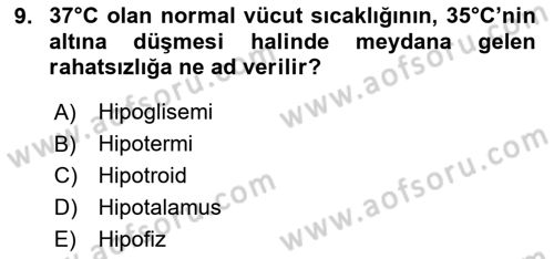 Arama Kurtarma Bilgisi ve Etik Değerler Dersi 2025 - 2026 Yılı Yaz Okulu Sınav Soruları 9. Soru