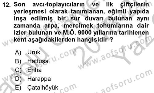 Kent, Planlama ve Afet Risk Yönetimi Dersi 2018 - 2019 Yılı Yaz Okulu Sınav Soruları 12. Soru