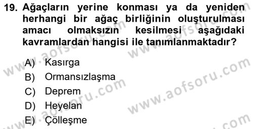 Kent, Planlama ve Afet Risk Yönetimi Dersi 2024 - 2025 Yılı (Final) Dönem Sonu Sınav Soruları 19. Soru