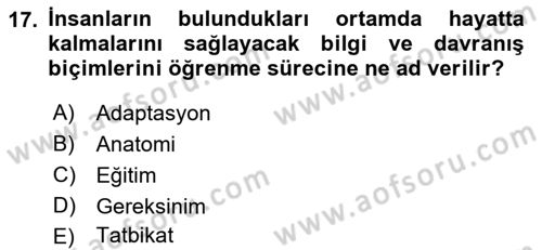Temel Afet Bilgisi Dersi 2023 - 2024 Yılı (Final) Dönem Sonu Sınav Soruları 17. Soru