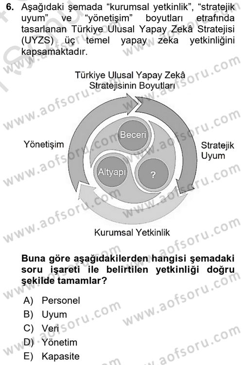 Temel Afet Bilgisi Dersi 2023 - 2024 Yılı (Final) Dönem Sonu Sınav Soruları 6. Soru