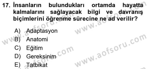 Temel Afet Bilgisi Dersi 2023 - 2024 Yılı Yaz Okulu Sınav Soruları 17. Soru