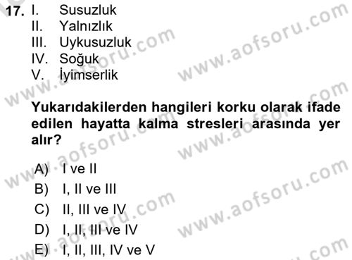 Temel Afet Bilgisi Dersi 2024 - 2025 Yılı (Final) Dönem Sonu Sınav Soruları 17. Soru