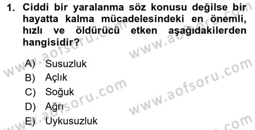 Temel Afet Bilgisi Dersi 2025 - 2026 Yılı (Final) Dönem Sonu Sınav Soruları 1. Soru