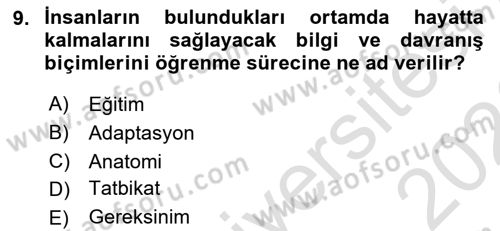 Temel Afet Bilgisi Dersi 2025 - 2026 Yılı (Final) Dönem Sonu Sınav Soruları 9. Soru