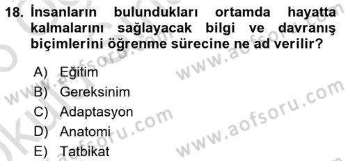 Temel Afet Bilgisi Dersi 2025 - 2026 Yılı Yaz Okulu Sınav Soruları 18. Soru