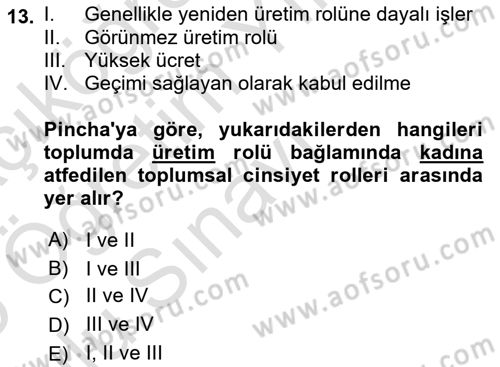 Afet Psikolojisi ve Sosyolojisi Dersi 2024 - 2025 Yılı Yaz Okulu Sınav Soruları 13. Soru