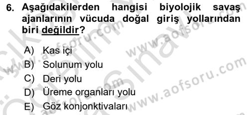 Kbrn Savunma Ve Güvenlik Dersi 2025 - 2026 Yılı (Vize) Ara Sınav Soruları 6. Soru