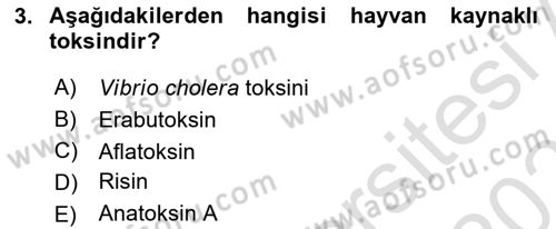 Kbrn Savunma Ve Güvenlik Dersi 2025 - 2026 Yılı Yaz Okulu Sınav Soruları 3. Soru