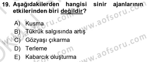 Afet Risk Azaltma Politikaları Dersi 2020 - 2021 Yılı Yaz Okulu Sınav Soruları 19. Soru