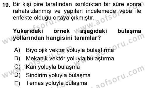 Afet Risk Azaltma Politikaları Dersi 2022 - 2023 Yılı Yaz Okulu Sınav Soruları 19. Soru