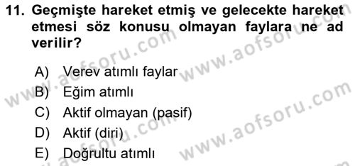 Afet Risk Azaltma Politikaları Dersi 2024 - 2025 Yılı Yaz Okulu Sınav Soruları 11. Soru