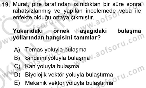 Afet Risk Azaltma Politikaları Dersi 2024 - 2025 Yılı Yaz Okulu Sınav Soruları 19. Soru