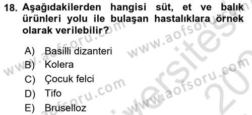 Afet Risk Azaltma Politikaları Dersi 2025 - 2026 Yılı Yaz Okulu Sınav Soruları 18. Soru