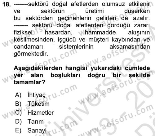 Afet Ekonomisi Ve Sigortacılığı Dersi 2023 - 2024 Yılı (Vize) Ara Sınavı 18. Soru