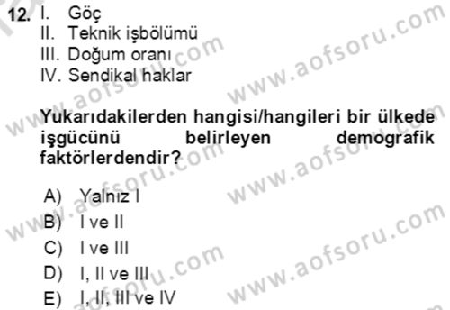 Göç Ve Göç Sorunları Dersi 2022 - 2023 Yılı (Final) Dönem Sonu Sınavı 12. Soru