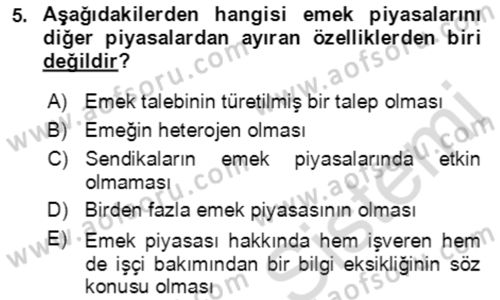 Göç Ve Göç Sorunları Dersi 2022 - 2023 Yılı (Final) Dönem Sonu Sınavı 5. Soru