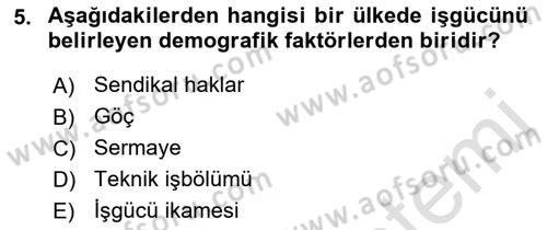 Göç Ve Göçmen Sorunları Dersi 2018 - 2019 Yılı 3 Ders Sınav Soruları 5. Soru