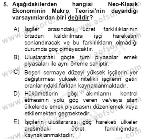 Göç Ve Göçmen Sorunları Dersi Ara Sınavı Deneme Sınav Soruları 5. Soru