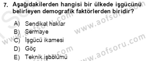 Göç Ve Göçmen Sorunları Dersi 2018 - 2019 Yılı (Final) Dönem Sonu Sınav Soruları 7. Soru