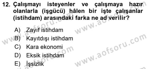 Göç Ve Göçmen Sorunları Dersi 2018 - 2019 Yılı Yaz Okulu Sınav Soruları 12. Soru