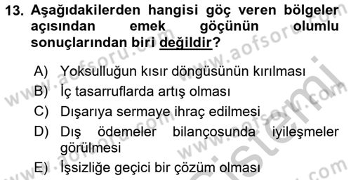 Göç Ve Göçmen Sorunları Dersi 2018 - 2019 Yılı Yaz Okulu Sınav Soruları 13. Soru