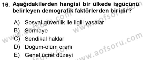 Göç Ve Göçmen Sorunları Dersi 2018 - 2019 Yılı Yaz Okulu Sınav Soruları 16. Soru