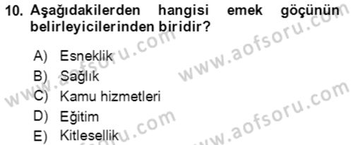 Göç Ve Göçmen Sorunları Dersi 2021 - 2022 Yılı (Final) Dönem Sonu Sınav Soruları 10. Soru