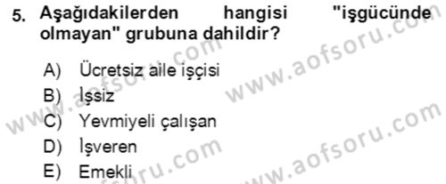 Göç Ve Göçmen Sorunları Dersi 2021 - 2022 Yılı (Final) Dönem Sonu Sınav Soruları 5. Soru