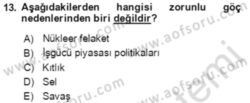 Göç Ve Göçmen Sorunları Dersi Ara Sınavı Deneme Sınav Soruları 13. Soru