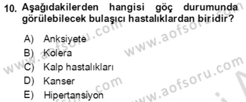 Göç Ve Göçmen Sorunları Dersi 2022 - 2023 Yılı (Final) Dönem Sonu Sınav Soruları 10. Soru
