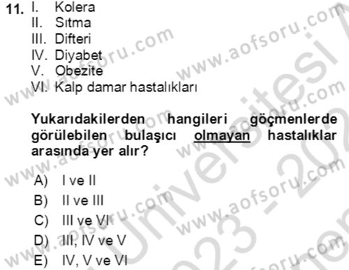 Göç Ve Göçmen Sorunları Dersi 2023 - 2024 Yılı (Final) Dönem Sonu Sınav Soruları 11. Soru
