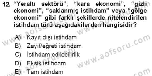 Göç Ve Göçmen Sorunları Dersi 2023 - 2024 Yılı (Final) Dönem Sonu Sınav Soruları 12. Soru