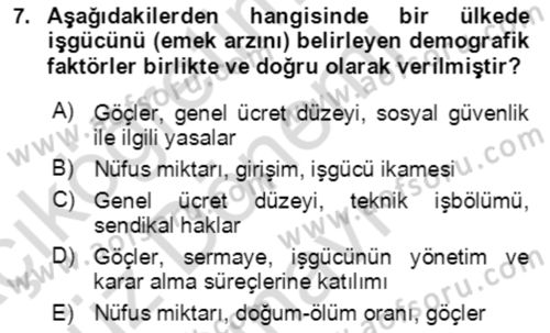 Göç Ve Göçmen Sorunları Dersi 2023 - 2024 Yılı (Final) Dönem Sonu Sınav Soruları 7. Soru