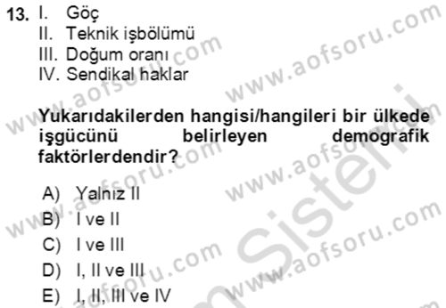 Göç Ve Göçmen Sorunları Dersi 2023 - 2024 Yılı Yaz Okulu Sınav Soruları 13. Soru