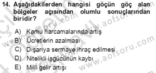 Göç Ve Göçmen Sorunları Dersi 2023 - 2024 Yılı Yaz Okulu Sınav Soruları 14. Soru