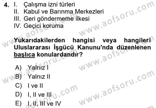 Göç Ve Göçmen Sorunları Dersi Ara Sınavı Deneme Sınav Soruları 4. Soru