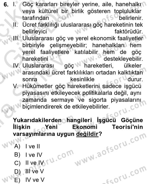 Göç Ve Göçmen Sorunları Dersi Ara Sınavı Deneme Sınav Soruları 6. Soru