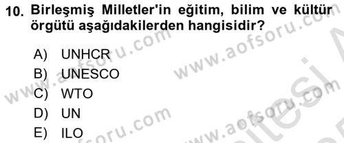 Göç Ve Göçmen Sorunları Dersi 2024 - 2025 Yılı Yaz Okulu Sınav Soruları 10. Soru