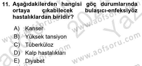 Göç Ve Göçmen Sorunları Dersi 2024 - 2025 Yılı Yaz Okulu Sınav Soruları 11. Soru