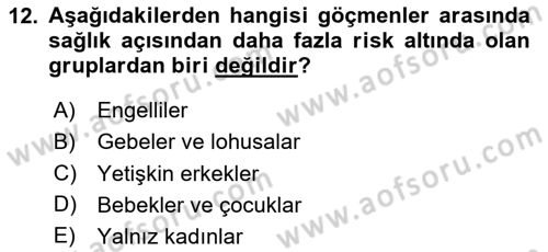 Göç Ve Göçmen Sorunları Dersi 2024 - 2025 Yılı Yaz Okulu Sınav Soruları 12. Soru