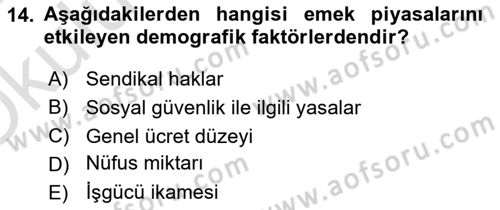 Göç Ve Göçmen Sorunları Dersi 2024 - 2025 Yılı Yaz Okulu Sınav Soruları 14. Soru