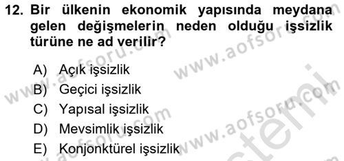 Göç Ve Göçmen Sorunları Dersi 2025 - 2026 Yılı (Final) Dönem Sonu Sınav Soruları 12. Soru