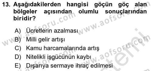 Göç Ve Göçmen Sorunları Dersi 2025 - 2026 Yılı Yaz Okulu Sınav Soruları 13. Soru