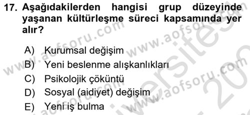 Göç Ve Göçmen Sorunları Dersi 2025 - 2026 Yılı Yaz Okulu Sınav Soruları 17. Soru