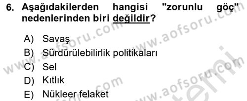 Göç Ve Göçmen Sorunları Dersi 2025 - 2026 Yılı Yaz Okulu Sınav Soruları 6. Soru