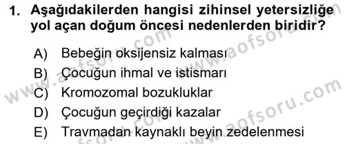 Özel Gereksinimli Bireyler İçin Afet ve Acil Durum Yönetimi Dersi 2018 - 2019 Yılı (Final) Dönem Sonu Sınavı 1. Soru