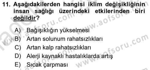 Sürdürülebilir Kentsel Dayanıklılık Dersi 2024 - 2025 Yılı Yaz Okulu Sınav Soruları 11. Soru